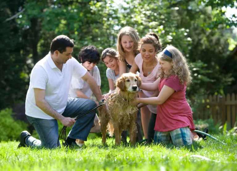 En casa con hijos: 4 ideas para pasar el tiempo juntos