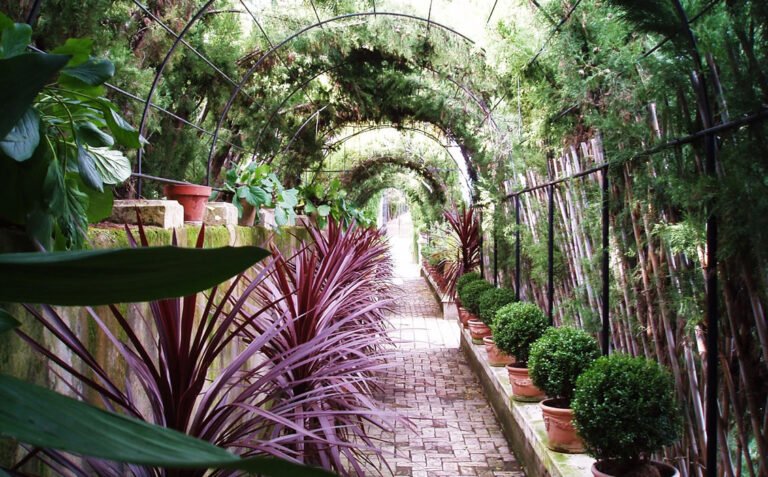 Jardines históricos de la provincia de Alicante