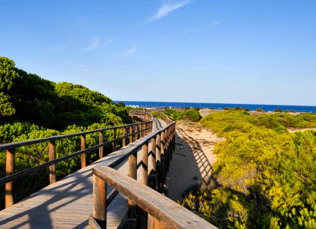 Playa del Carabassí en Elche