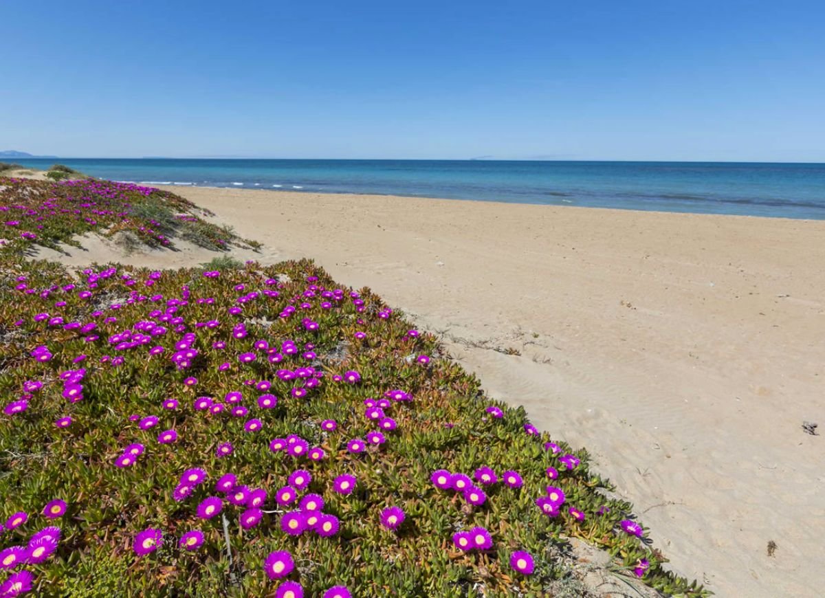 Playa de les Bovetes Dénia