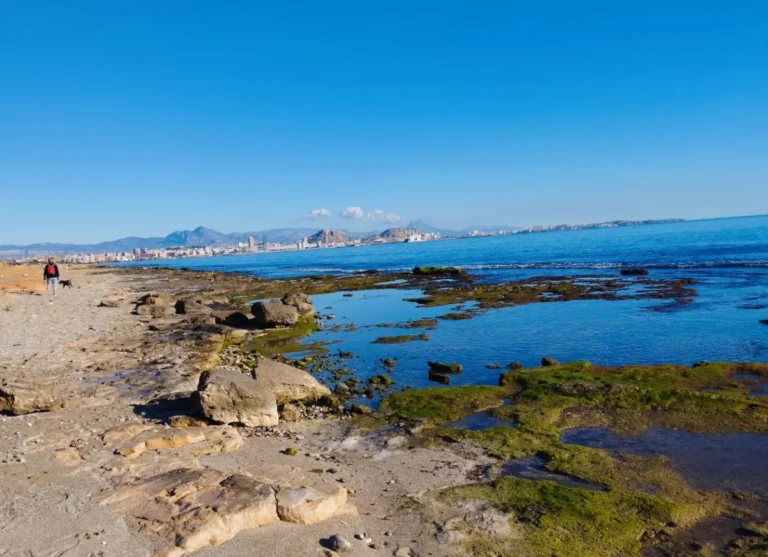 Playa para perros Agua amarga Alicante
